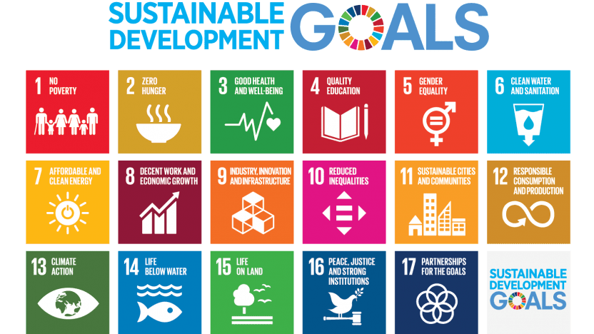 the17 Sustainable Development Goals